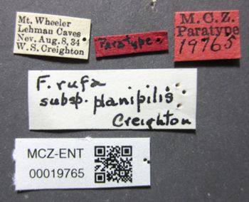 Media type: image;   Entomology 19765 Aspect: labels
